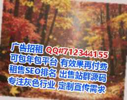 纳西族借腹生子新能源有限公司